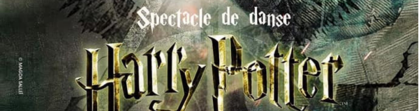Spectacle Harry Potter